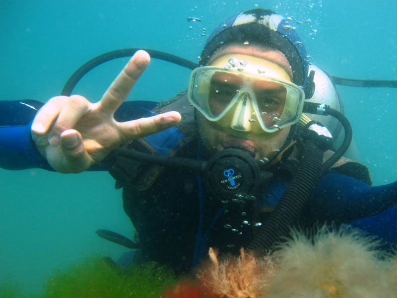 Snorkel con lobos marinos