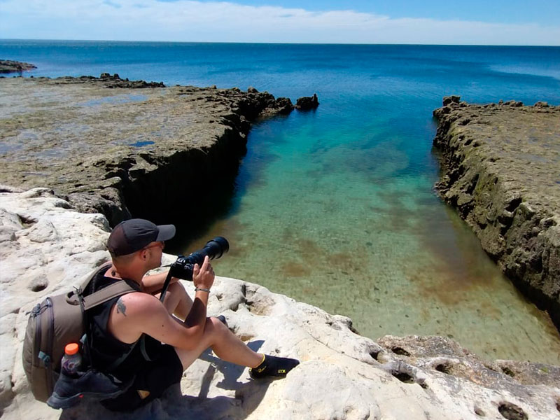 Snorkel con lobos marinos